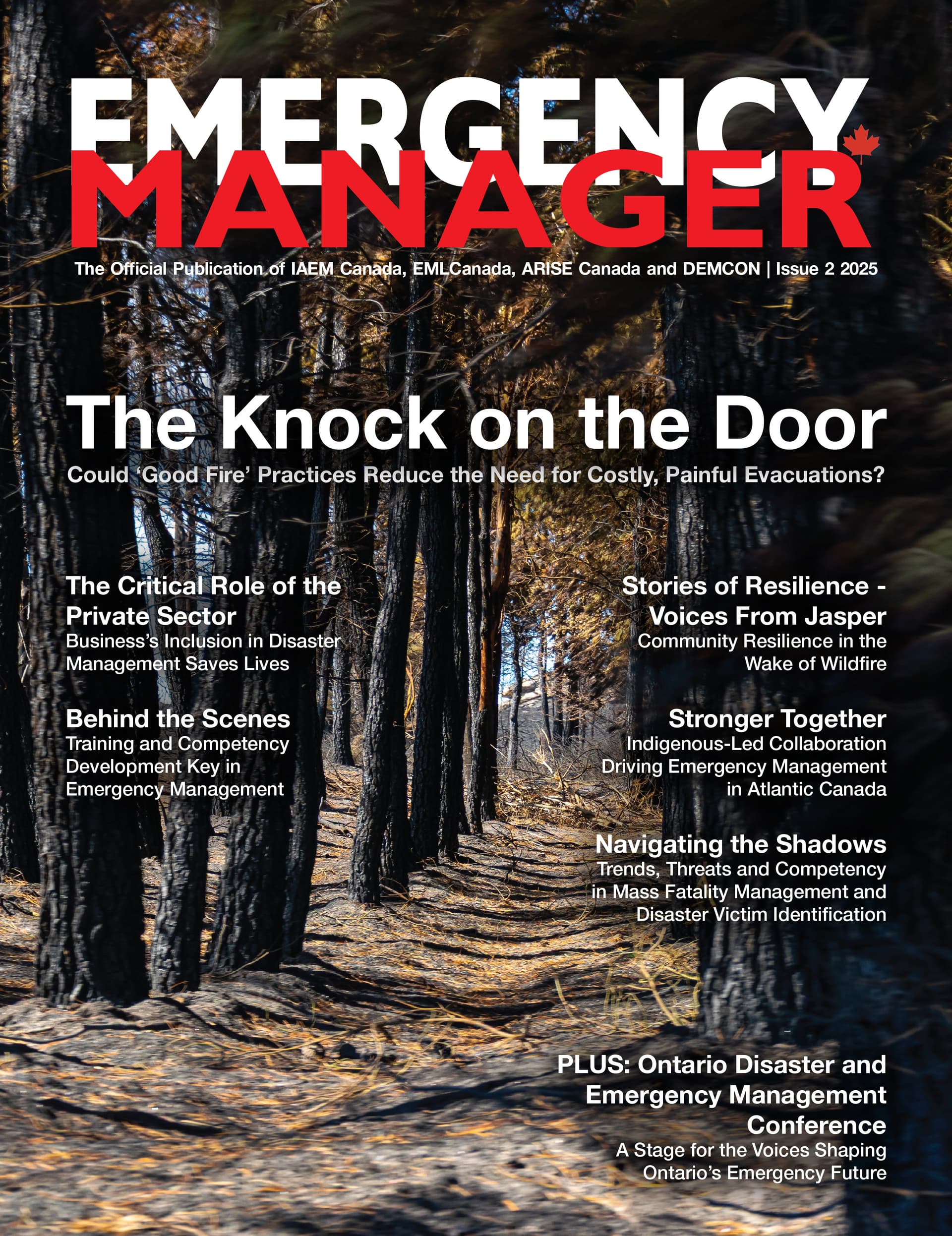 Emergency Manager Issue 2 cover